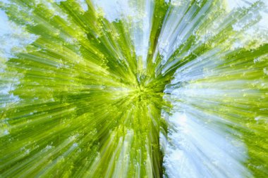 Soyut resim kırsal ağacı. Çekim kapatılması sırasında uzaklaştırma tarafından yaratılmıştır. Zoom Hız mevsimlik hareket.