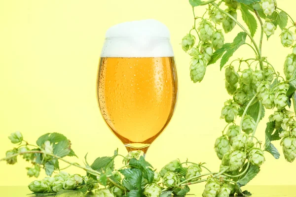 Pint of beer with ingredients for homemade beer on yellow