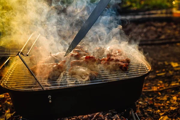 Smokehouse se encuentra sobre la hierba en un jardín de verano . — Foto de Stock