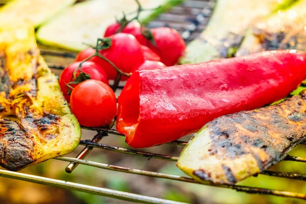 Brochettes de légumes grillées dans une marinade aux herbes sur une poêle à griller — Photo