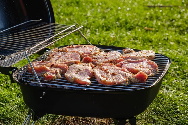 Vista superior de la carne fresca y vegetal en la parrilla colocada en la hierba . — Foto de Stock