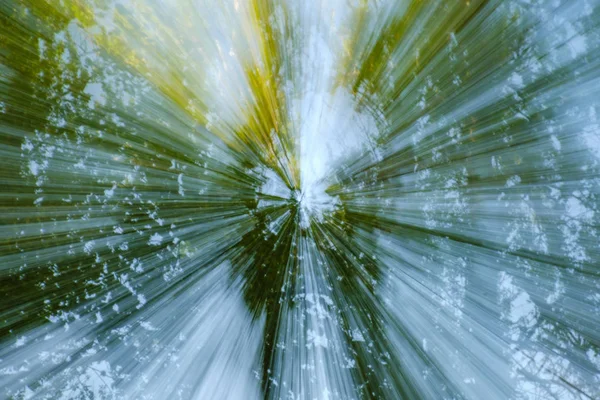 Immagine astratta di albero in campagna. Creato zoomando fuori durante la chiusura otturatore. Velocità zoom movimento blured . — Foto Stock