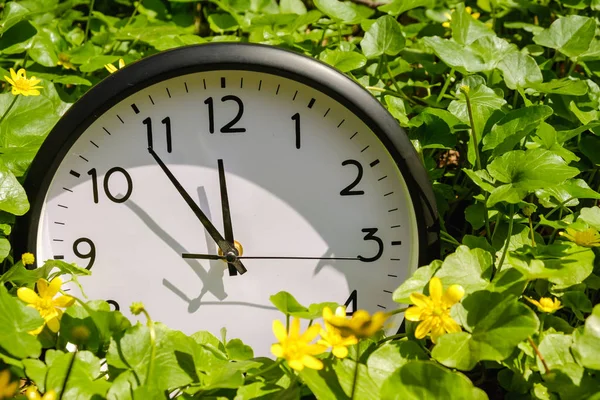 Clock on green grass, on nature background, deadline alarm concept — Stock Photo, Image
