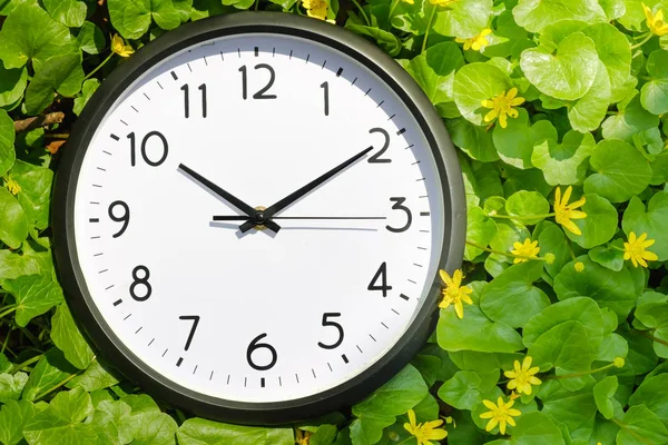 Clock on green grass, on nature background, deadline alarm concept — Stock Photo, Image