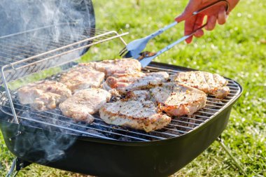 Yaz doğa ızgarası bbq eti, kömür ailesi.