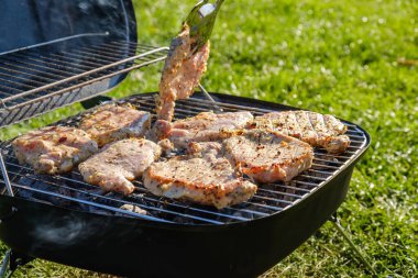 Yaz doğa ızgara bbq et, kömür bahar.