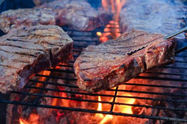 Yaz doğa ızgara bbq et, piknik pişirme.