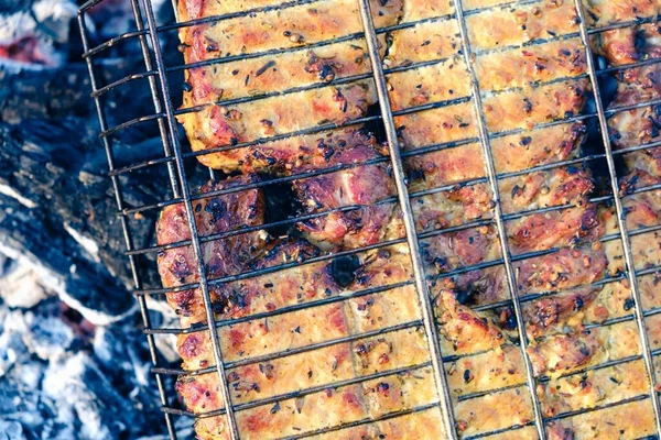 Verão natureza grill bbq carne, conceito gramado . — Fotografia de Stock