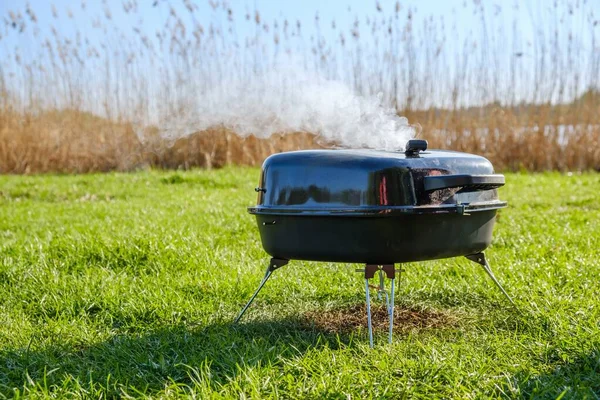 Grill lato trawa grill mięso, dym. — Zdjęcie stockowe