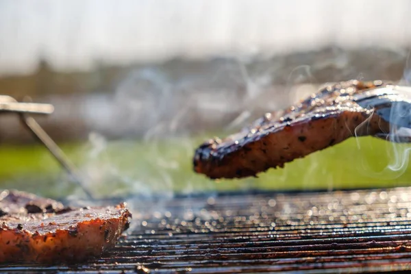 Verano naturaleza parrilla barbacoa carne, cocina de picnic . — Foto de Stock