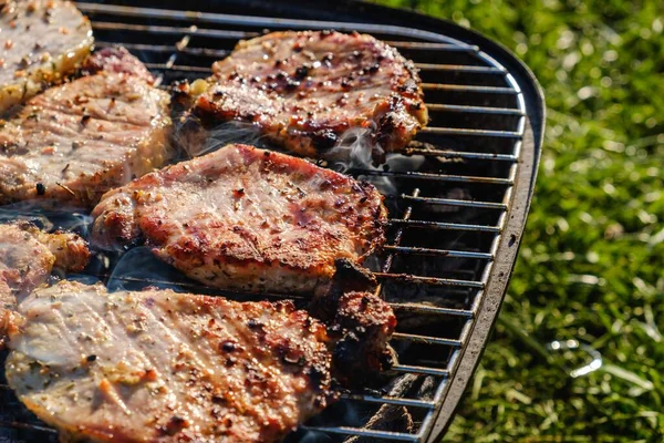 Lato natura grill grill mięso, camping. — Zdjęcie stockowe