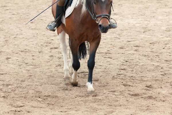 Reiten lernen. Ausbilder lehrt jugendlichen Pferdesportler. — Stockfoto