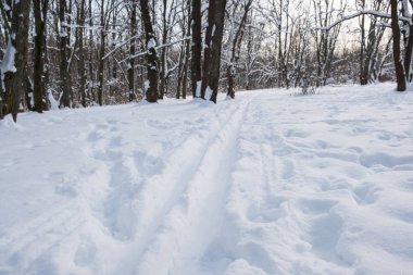 kayak pistlerine kış ormanı
