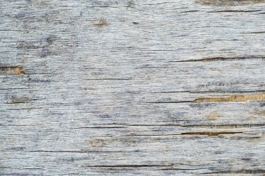 ahşap eski kalasların doku arka planı