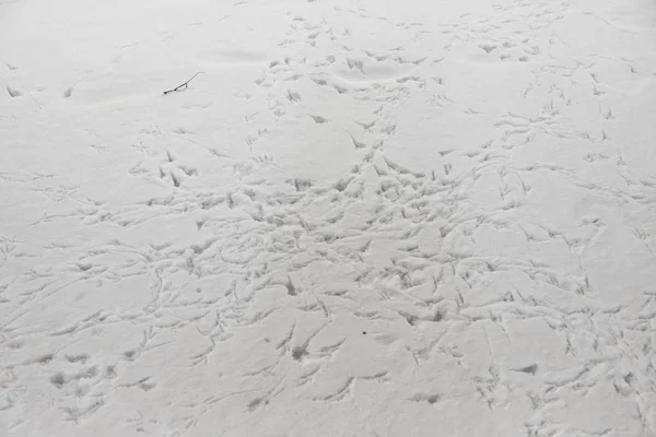 Gölgeler ve kuşlar izleri olan kar yüzeyi pürüzlü. Kış zemin dokusu ile ayak izleri. Beyaz ve mavi arka plan. — Stok fotoğraf