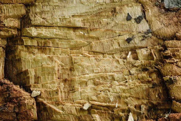 Bakgrund gamla trä abstrakt design. bräda. — Stockfoto
