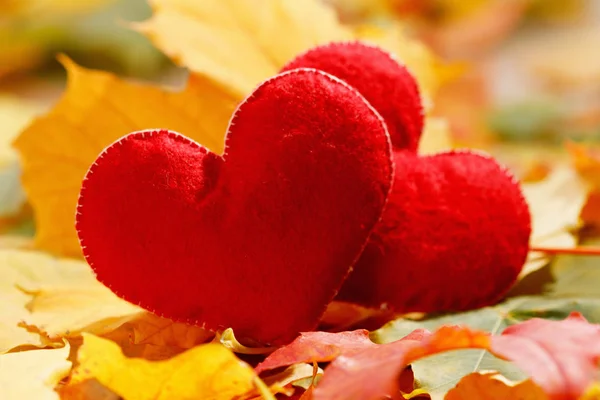 Fondo del día de San Valentín. Dos corazones en hojas. Concepto de amor —  Fotos de Stock