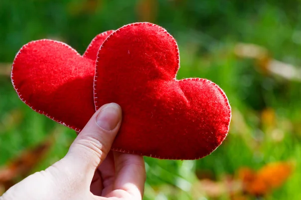 手抱着两颗红心在公园里的草地上。快乐， 爱， 情人节的想法， 符号， 概念. — 图库照片