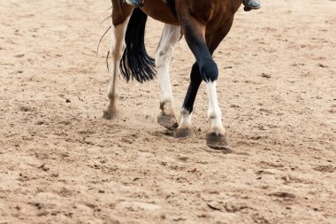 Ata binmeyi öğreniyorum. Eğitmen ergen binicilik öğretmeni..