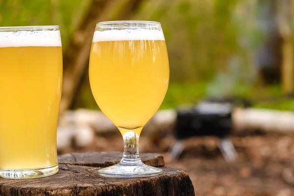 Verre de bière nourriture barbecue et poulet, rafraîchissement . — Photo