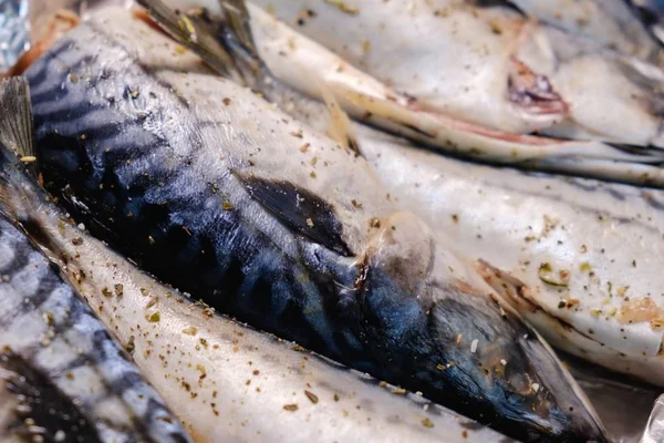 Σκουμπρί ψάρια θαλασσινά υγιεινά τρόφιμα, νόστιμα. — Φωτογραφία Αρχείου