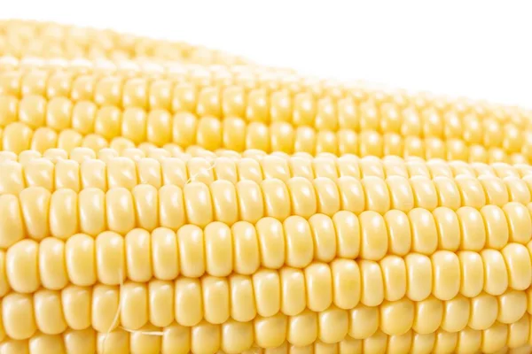 Maïs Groenten Geïsoleerd Wit Voedsel Zoet Gezond Pitten — Stockfoto
