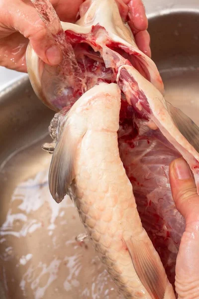 Carpa Comida Cocina Pescado Cruciano Limpieza Fresco Escamas — Foto de Stock