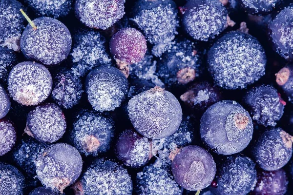 Frozen Berry Background Food Blueberry Delicious Dessert Sweet — Stock Photo, Image