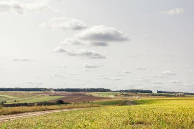 Yeşil Çimen Sahası Arka planda fantastik bulutlar