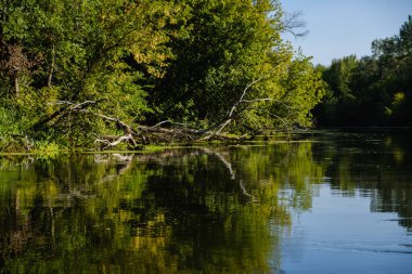 Yazın sakin bir nehirde güneşli bir gün manzarası