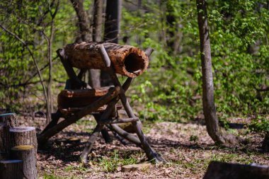 Ağaç kesimi kereste ağacı çam testeresi, doğal.