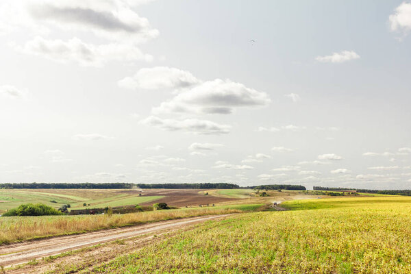Зеленая трава полевой пейзаж с фантастическими облаками на заднем плане