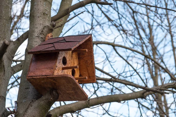 Casa Pájaros Madera Una Rama Árbol Parque Otoño Contra Cielo — Foto de Stock