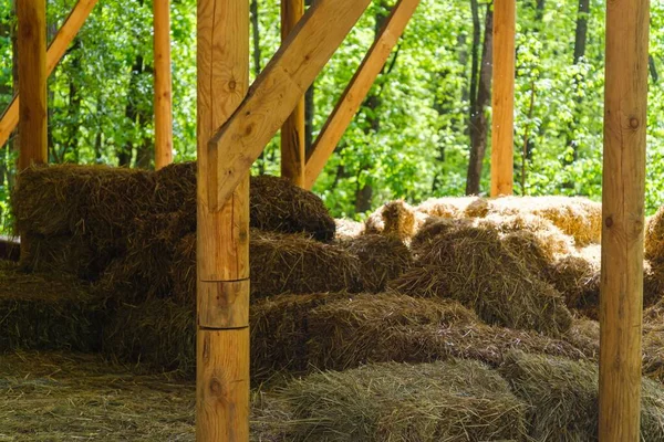 Storage Hay Agriculture Rural Straw Farm Barn Farming Store — Stock Photo, Image