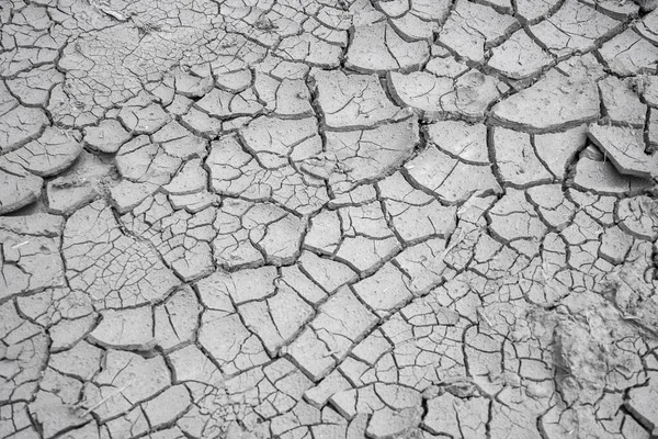 Clay Drought Dirt Environment Desert Earth Dry Texture Royalty Free Stock Photos