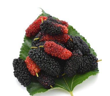 Beyaz arka planda yaprak ile olgun dut meyvesi