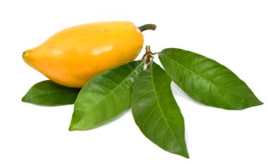 Olgun yumurta meyvesi beyaz arkaplanda izole