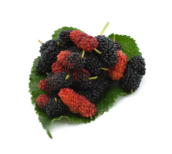 Mulberry Ovoce Listu Izolované Bílém Pozadí — Stock fotografie