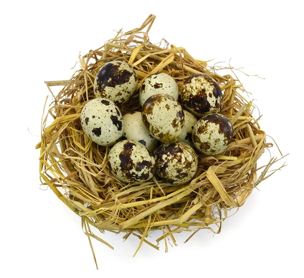 Quail Eggs Straw — Stock Photo, Image