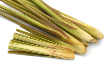 Beyaz arkaplanda taze limon otu izole edildi