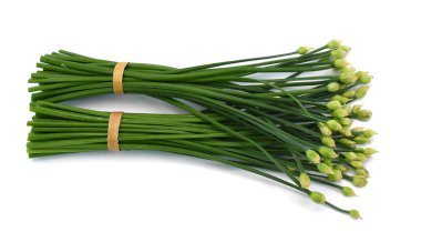 Beyaz arka planda izole edilmiş taze Allium tüberozum 