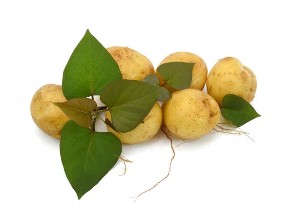 Batatas Frescas Isoladas Sobre Fundo Branco — Fotografia de Stock