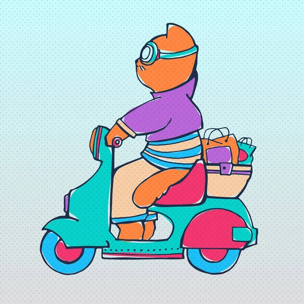 Cat on scooter. Vector illustration. — Stock Vector