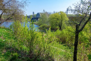 Demiryolu köprüsü ile bahar gezisi