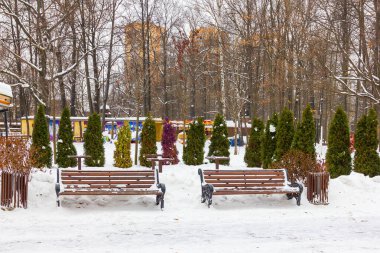 Noel ağaçları ve Park bankları