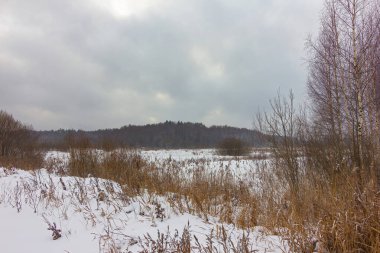 Şehrin dışındaki kış ormanı.