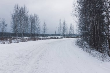 .Orman yolunda kış manzarası