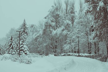 Parkın karla kaplı güzelliği