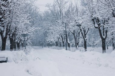 Park 'ta kışın karla kaplı yol
