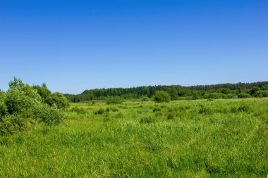 Kırsal kesimde yaz manzarası